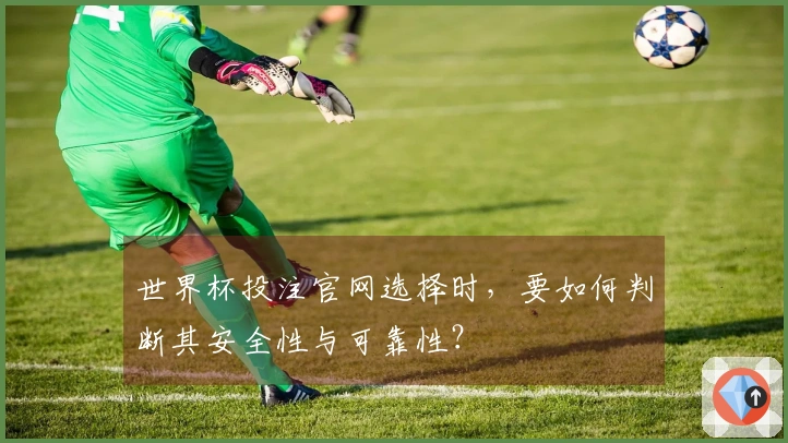 世界杯投注官网选择时，要如何判断其安全性与可靠性？