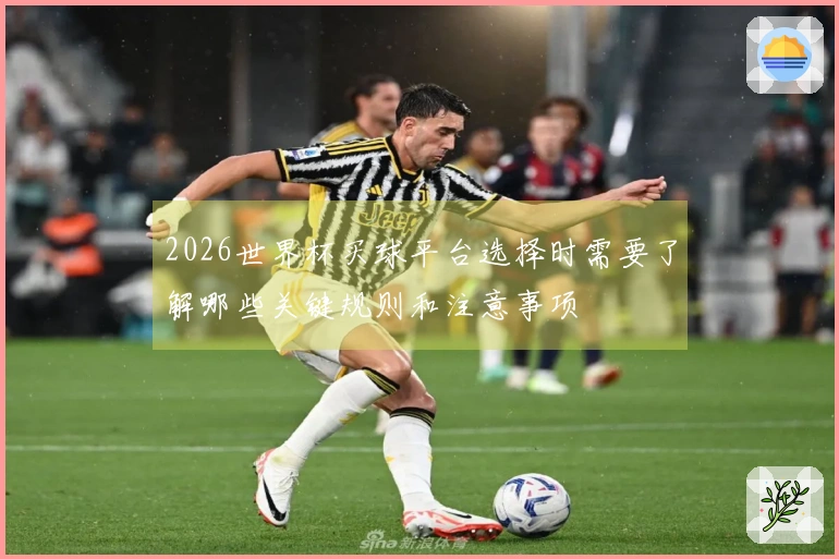 2026世界杯买球平台选择时需要了解哪些关键规则和注意事项