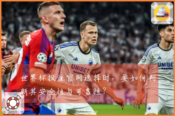 世界杯投注官网选择时，要如何判断其安全性与可靠性？