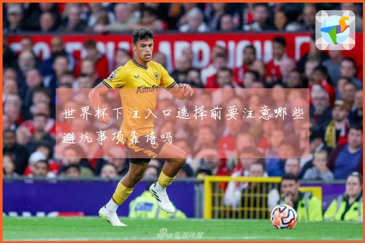 世界杯下注入口选择前要注意哪些避坑事项靠谱吗