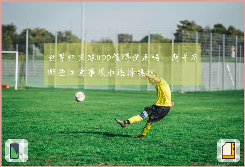 世界杯买球app值得使用吗，新手有哪些注意事项和选择建议
